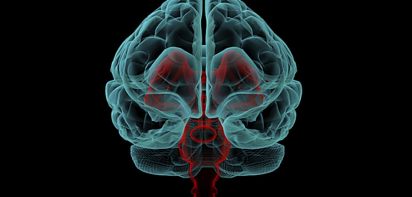 Schizophrenia linked to abnormal brain waves